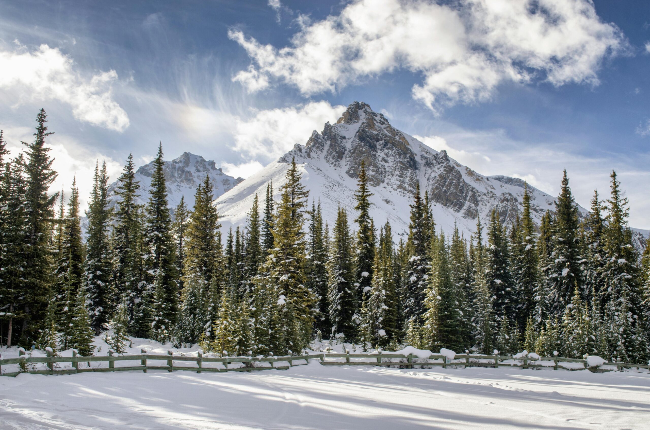 Image de paysage hivernal